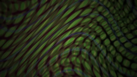 Closeup of green snake skin texture. Stock Footage 340000952
