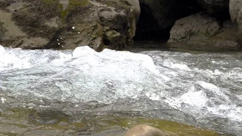 Closeup of grey big stones in clear mountain river water. Fast-flowing river Stock Footage 306287640