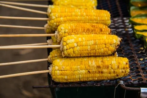 Closeup grilled corn. Stock Photos