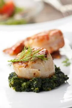 Closeup of a grilled scallop on spinach Foto stock