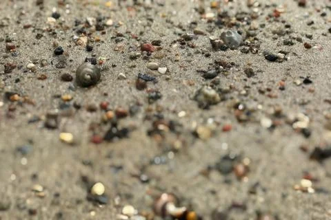 Closeup ground view on tiny precious stones in the damp sand scattered over the  Stock Photos