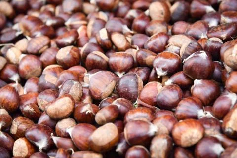 Closeup of a group of chestnuts . Stock Photos