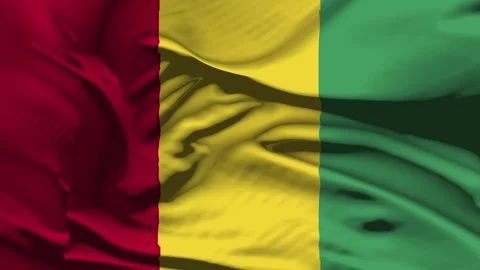 Closeup Guinea Flag Wave Loop waving in wind Realistic Guinea Flag backgroun Stock Footage 321514558