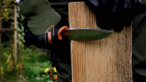 Closeup of hand carving fire starter tinder from wooden log Stock Footage 220086084