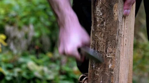 Closeup of hand carving fire starter tinder from wooden log Stock Footage 220086662