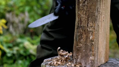 Closeup of hand carving fire starter tinder from wooden log Stock Footage 220086899