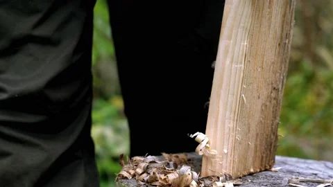 Closeup of hand carving fire starter tinder from wooden log Stock Footage 220087475