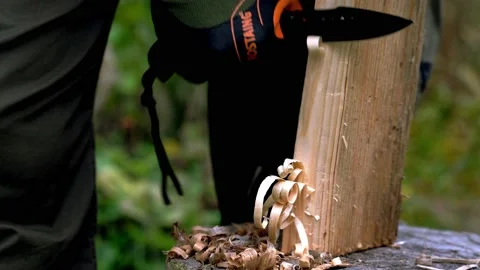 Closeup of hand carving fire starter tinder from wooden log Stock Footage 220087712