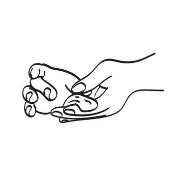 Closeup hand of chef making sushi illustration vector isolated Stock Illustration