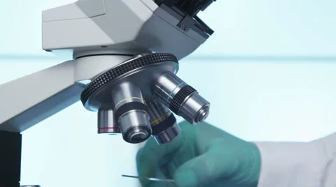 Closeup of hand moving lenses on microscope Stock-Footage 62281890