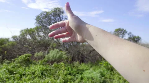 Closeup Of Hand, Out Car Window, Feeling The Breeze Stock-Footage 47260218