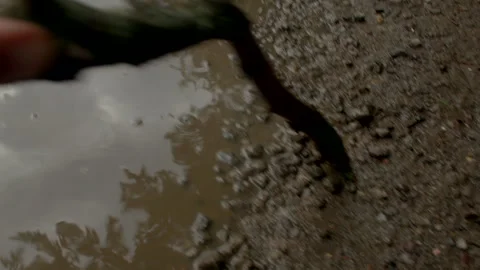 Closeup of hand pulling branch out of muddy ground showing grip and texture Stock-Footage 325073557