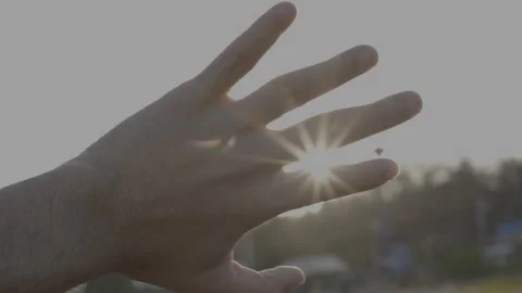 Closeup of hand with sunlight Stock Footage 260449064