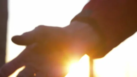 Closeup of hand taking up the ground in backlight in carso karst Stock Footage 233888746