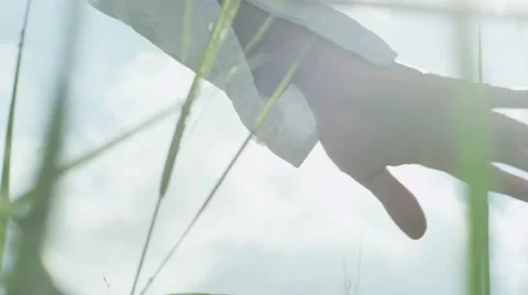Closeup of a hand touching reeds Video stock 58994938