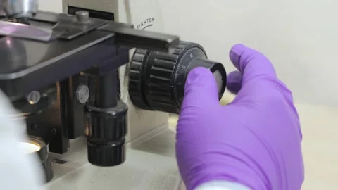 Closeup of hand wearing  gloves using microscope in a clinical laboratory. 4k Stock Footage 146469535