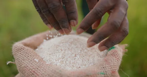 Closeup of a hand of a worker pouring rice into a bag Stock Footage 106017473