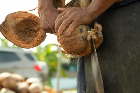 Closeup hand workers peeling coconut with an outdoor pointed knife. Stock Photos
