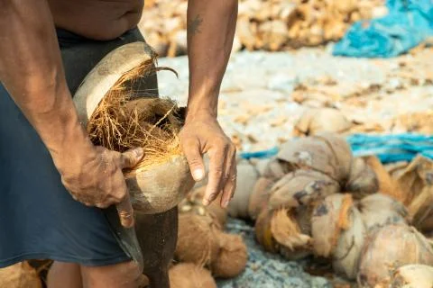 Closeup hand workers peeling coconut with an outdoor pointed knife on process Stock Photos