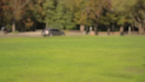 Closeup handclasp in park Stock Footage 117422633