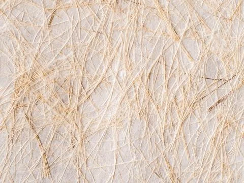 Closeup of handmade paper texture background leaves Stock Photos