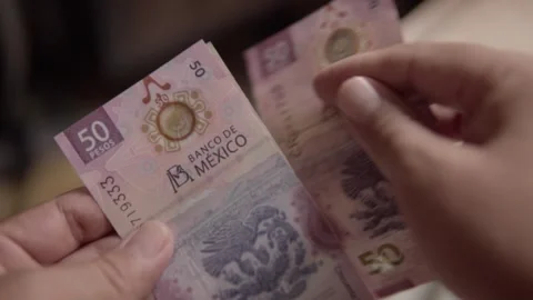 Closeup of Hands Counting Mexican Peso Banknotes During Cash Payment Transaction Stock Footage 340802768