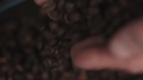 Closeup of hands holding fresh raw green coffee beans. Stock Footage 188906937