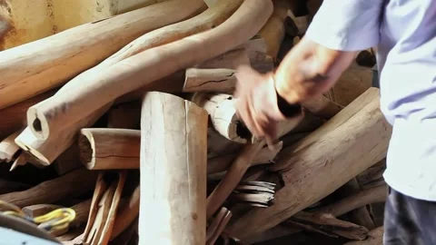 Closeup of hands of man arranging dry wood in factory Stock Footage 223145038