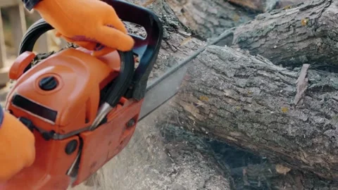 Closeup hands of a man cutting a dead olive tree with power saw or chainsaw at 스톡 동영상 336570966