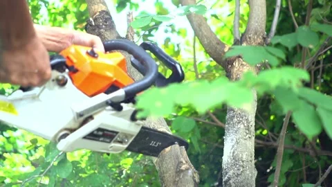 Closeup hands of a man cutting a dead olive tree with power saw or chainsaw at 스톡 동영상 336570979