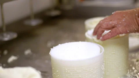 Closeup of hands of man making homemade sheep ricotta cheese Video stock 233749284