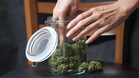 Closeup a hands opening a locked lid jar with picking up a dried herbal cannabis Stock Footage 160524553