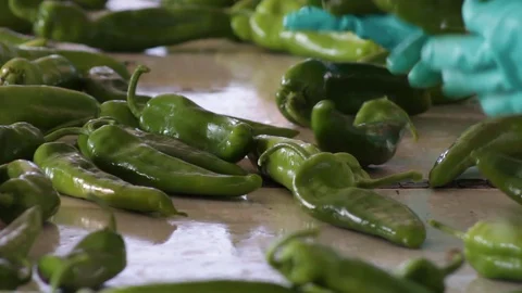 CloseUp of hands in pepper separation process in processing plant - 02 Stock-Footage 130044334