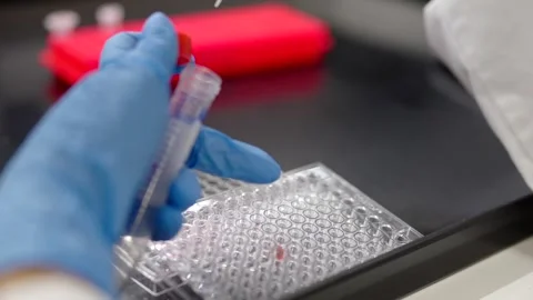 Closeup of hands of scientist using pipette Stock Footage 255196099