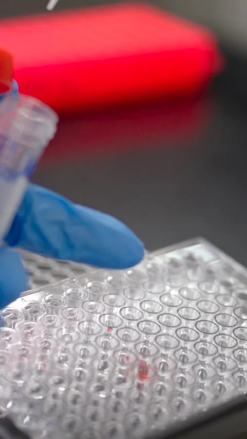 Closeup of hands of scientist using pipette Stock Footage 257975722