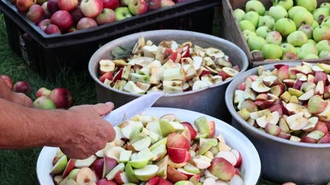 Closeup of Hands Slicing Apples Into Metal Basin Stock Footage 346247544