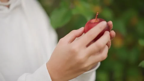 Closeup of hands touching ripe red apple in peaceful setting. Autumn scene Stock Footage 346385915