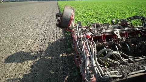 Closeup harvester working on beet field Stock Footage 42768185