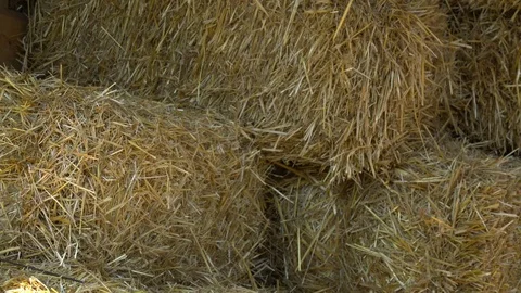 Closeup of a hay on the farm Video stock 75997047