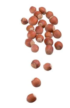 Closeup of hazelnuts, isolated on the white background Stock Photos