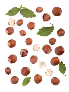 Closeup of hazelnuts, isolated on the white background Stock Photos