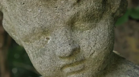 Closeup on Head of Stone Statue Vidéo 67431859
