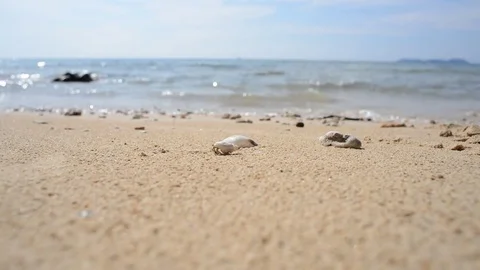 CLOSEUP Hemit crab runing on the beach Stock Footage 75263234