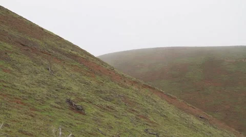 Closeup of Hillside in Hawaii.  Stock-Footage 50654697