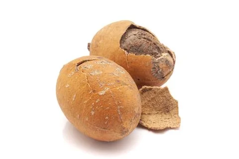 Closeup of Hingot or Desert date fruit, isolated on white background. Stock Photos