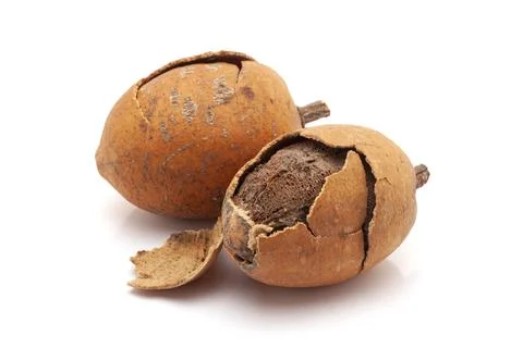Closeup of Hingot or Desert date fruit, isolated on white background. Stock Photos