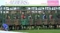 Closeup Horse Racing start scene HD Footage