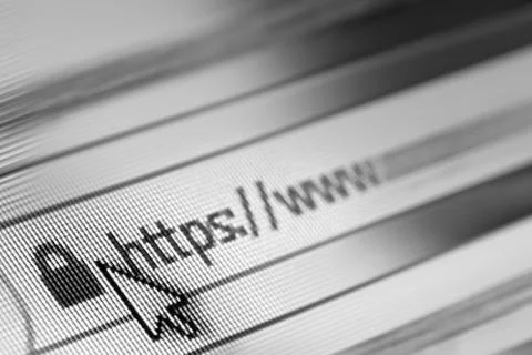 Closeup of Http Address in Web Browser in Shades of black and white Foto stock