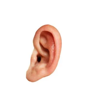 Closeup of a human ear Stock Photos
