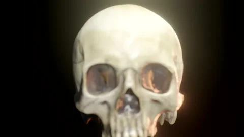 Closeup of a Human Skull. 3D cinematic. Stock Footage 239062665